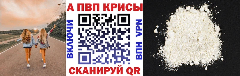 ОМГ ОМГ вход  Курлово  A PVP крисы CK 