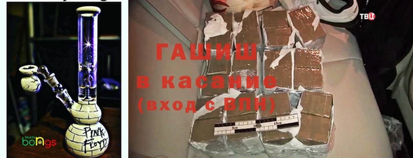стаф Алзамай