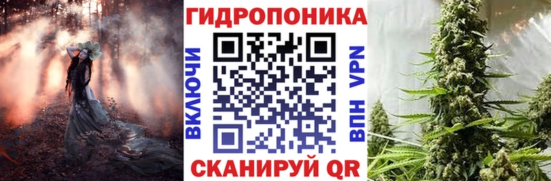 Канабис семена  Курлово 
